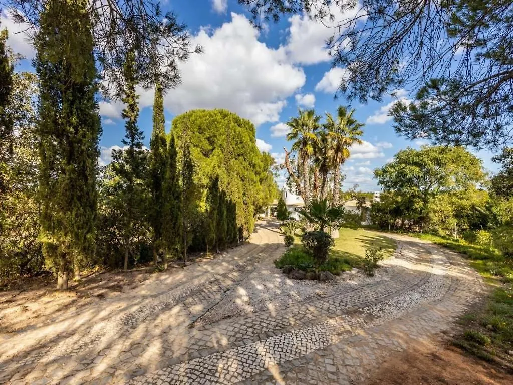 Villa Elise Carvoeiro Portugal Portugal